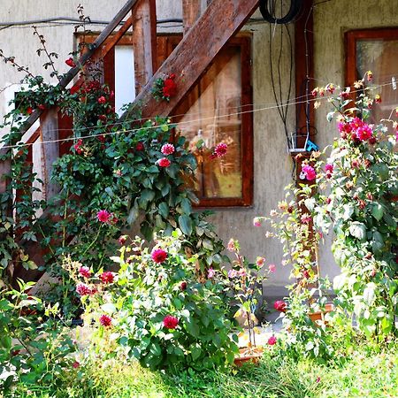 Nadia Guesthouse 메스티아 외부 사진