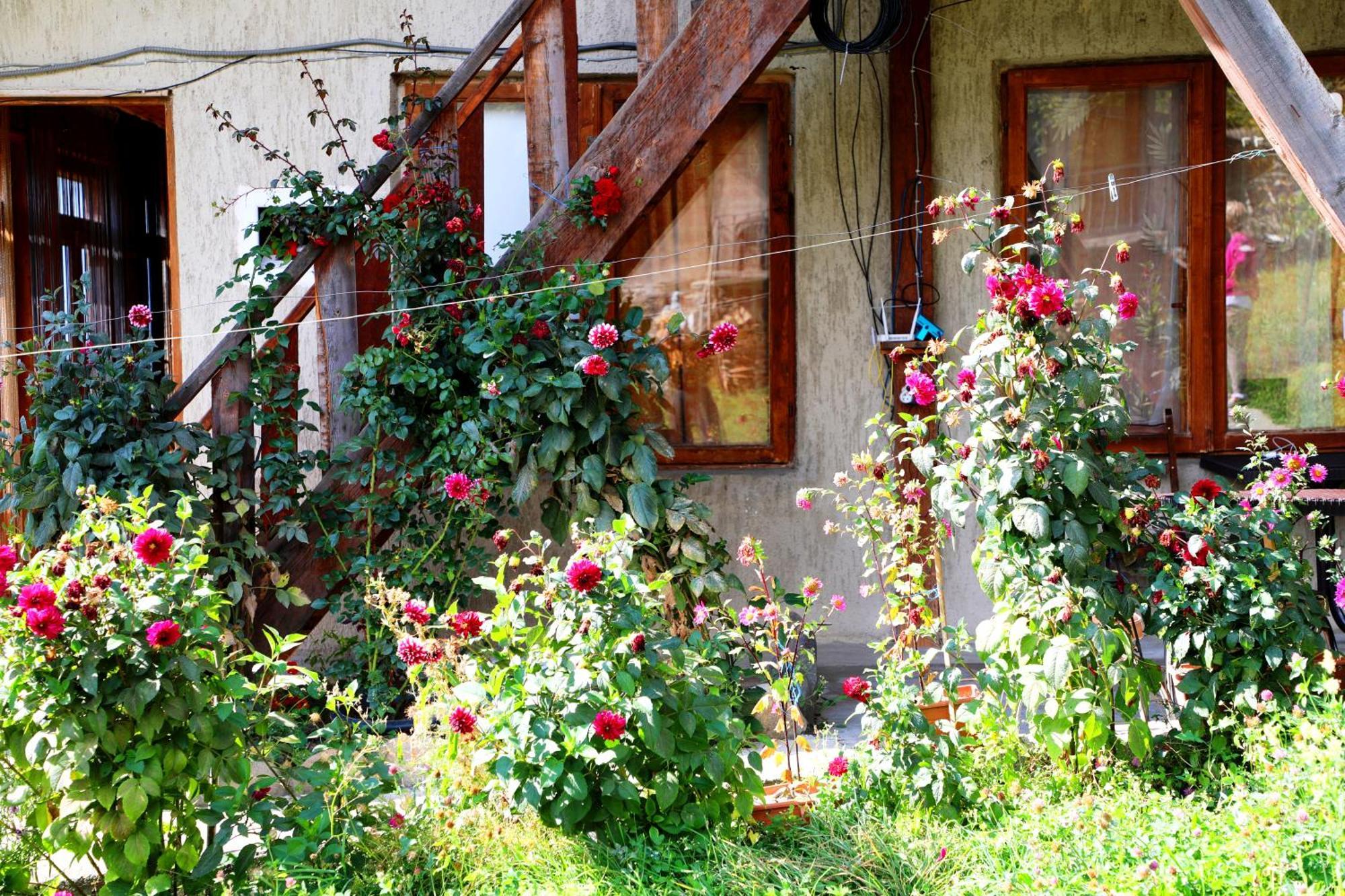 Nadia Guesthouse 메스티아 외부 사진